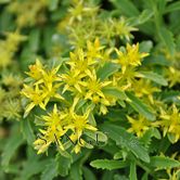 ���߾���