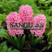 ����.����