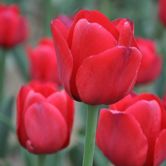 ����֮��