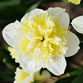 ���Ϲ���