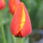 ����֮��