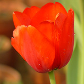 ����֮��