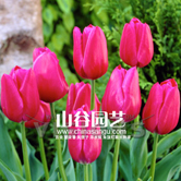 ����õ��