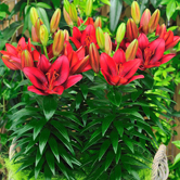 ��������ԣ�