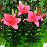 ͯ�������ԣ�