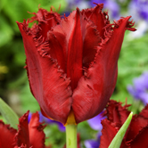 ̫ƽ������