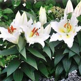 ���⺣�������ԣ�