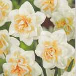 �¶�������