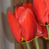 �����ؼ���