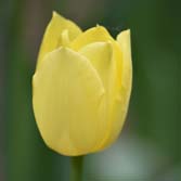 ����ʱ��