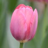 ���ط�����