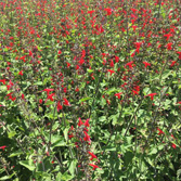 �컨��β��