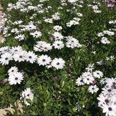 �Ϸ����پ�